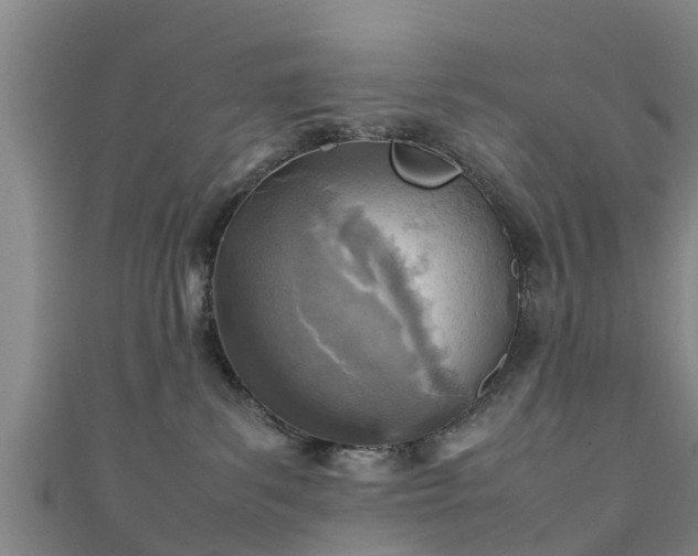 X0000111350139200907171150