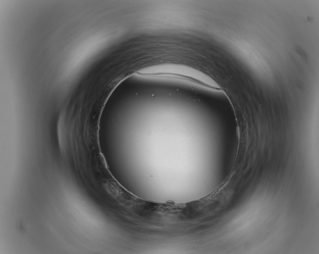 X0000111350140200907171150