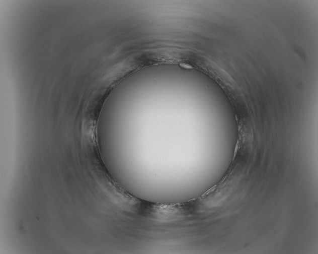 X0000111350141200907171150