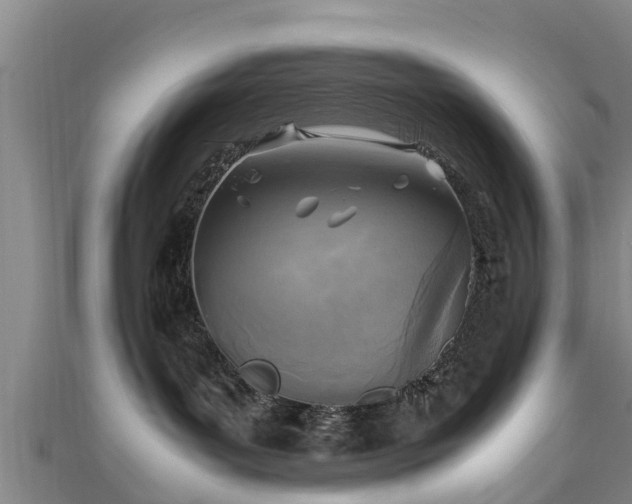 X0000111350143200907171150