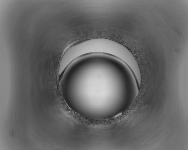 X0000111350144200907171150