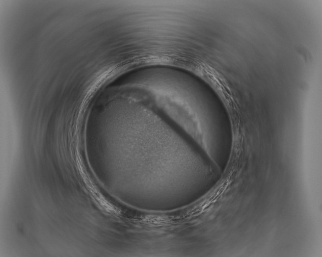 X0000111350145200907171150