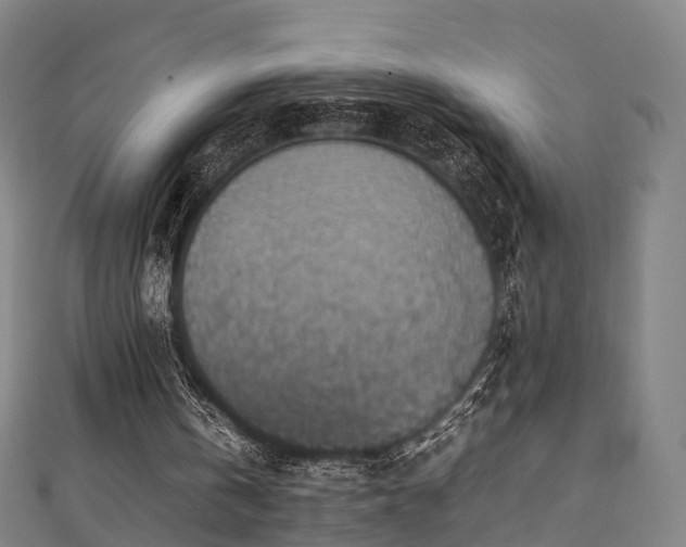 X0000111350146200907171150