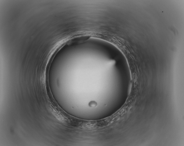 X0000111350148200907171150