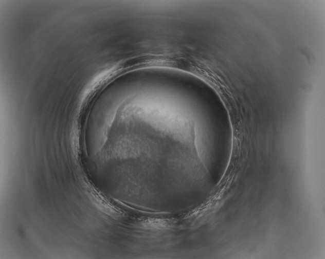 X0000111350149200907171150