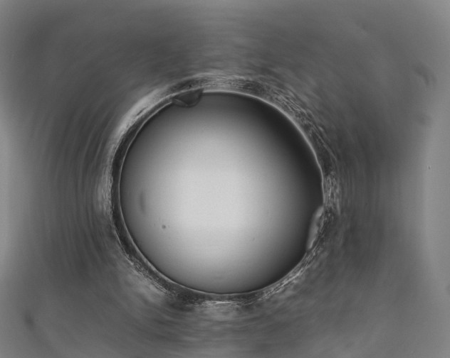 X0000111350150200907171150