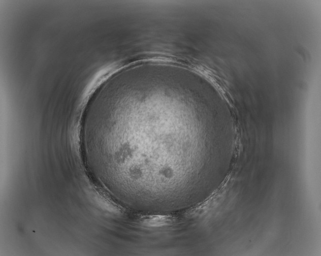 X0000111350151200907171150