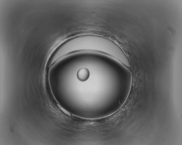 X0000111350152200907171150