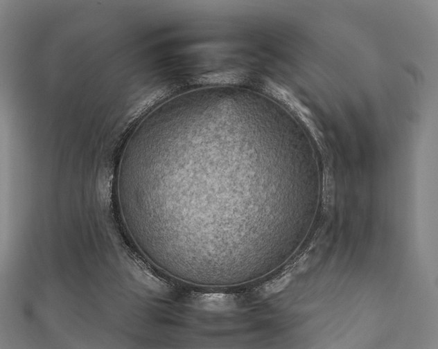 X0000111350153200907171150