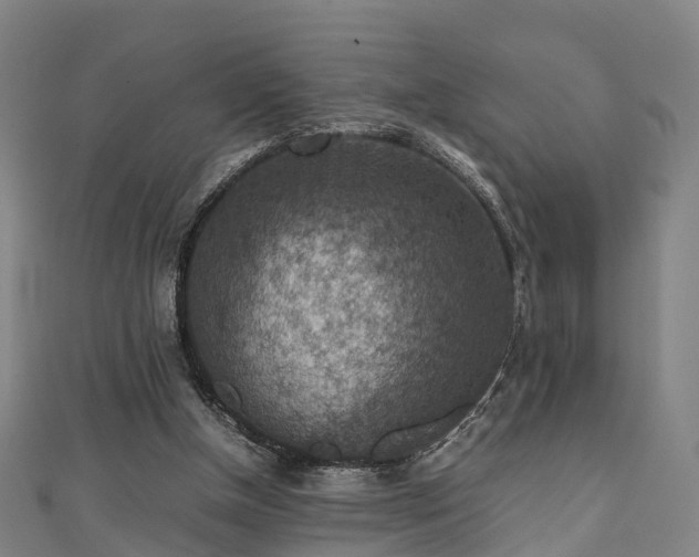 X0000111350154200907171150