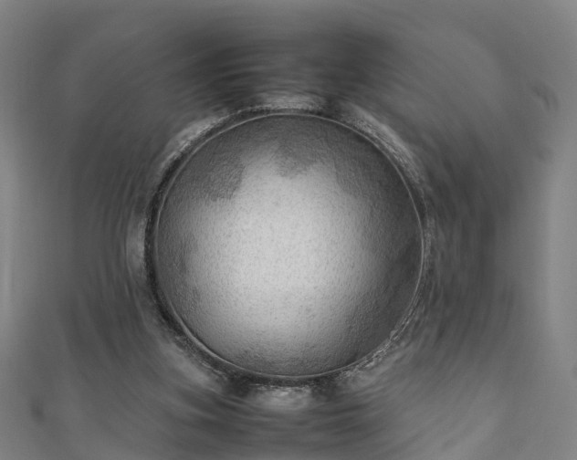 X0000111350155200907171150