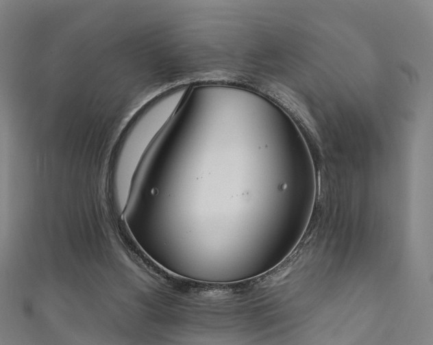 X0000111350156200907171150