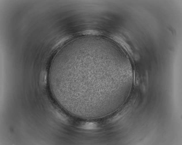 X0000111350157200907171150