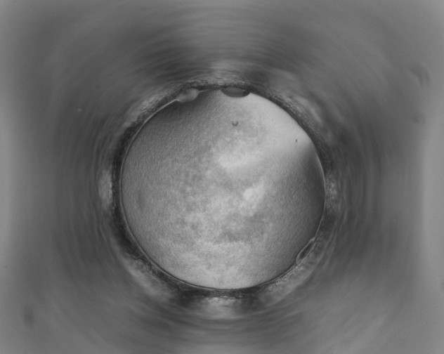 X0000111350158200907171150