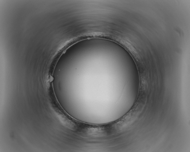 X0000111350160200907171150