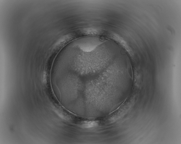 X0000111350161200907171150