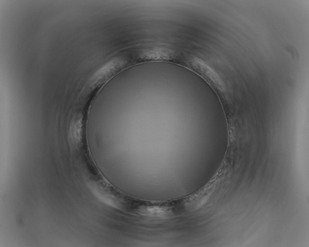 X0000111350163200907171150