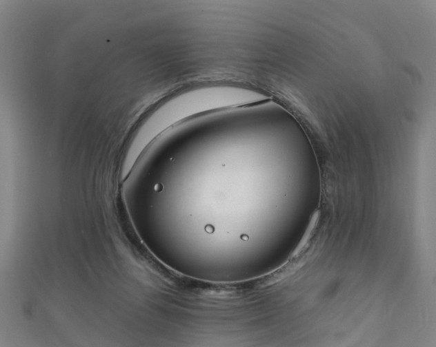 X0000111350164200907171150