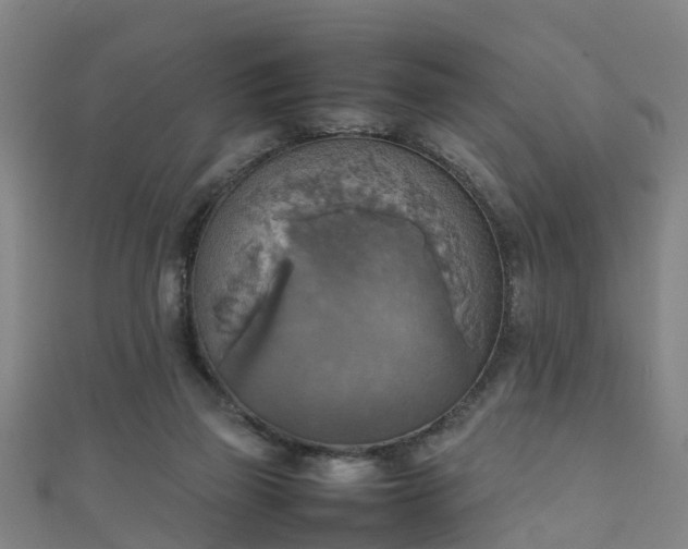 X0000111350165200907171150