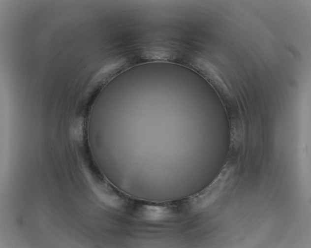 X0000111350167200907171150