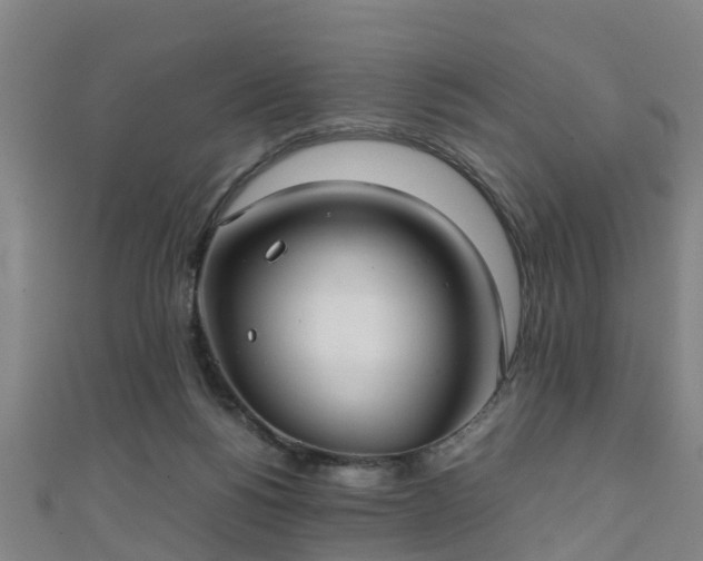 X0000111350168200907171150