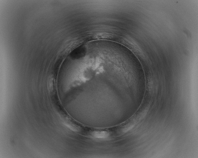 X0000111350169200907171150