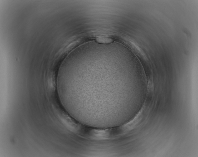 X0000111350170200907171150