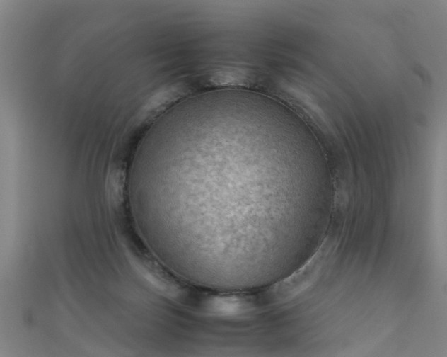 X0000111350171200907171150