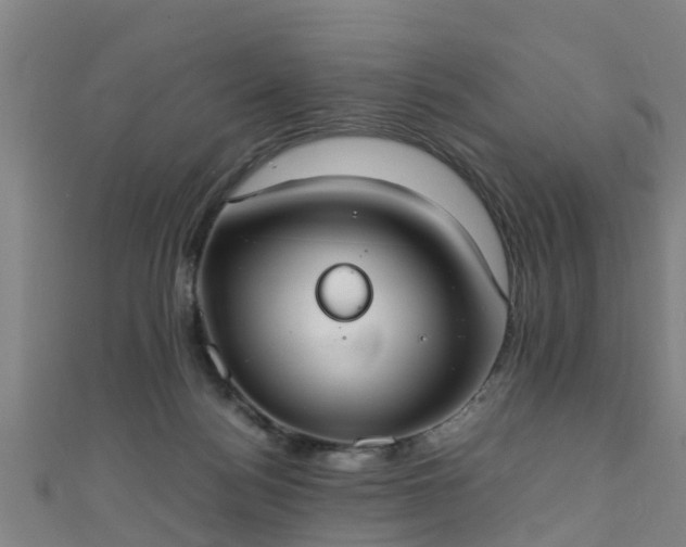 X0000111350172200907171150