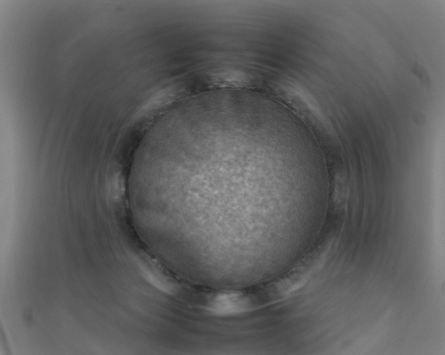 X0000111350173200907171150