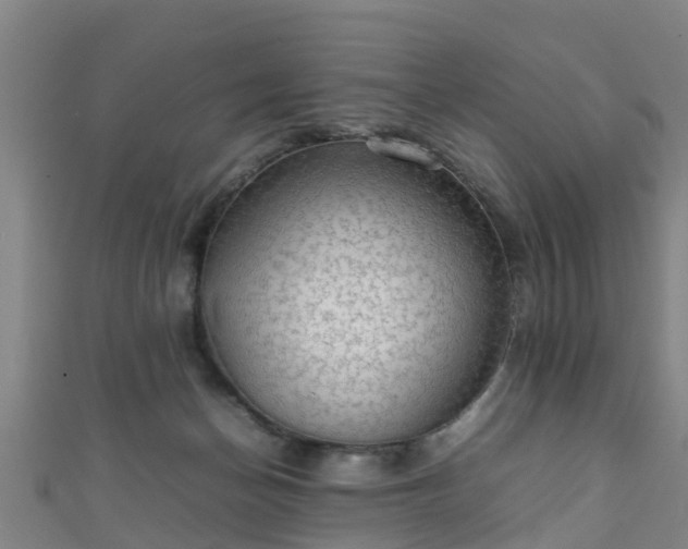 X0000111350174200907171150