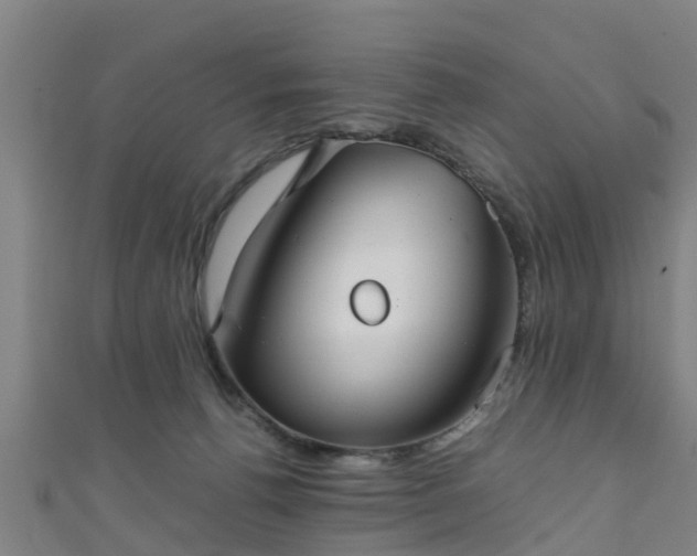 X0000111350176200907171150