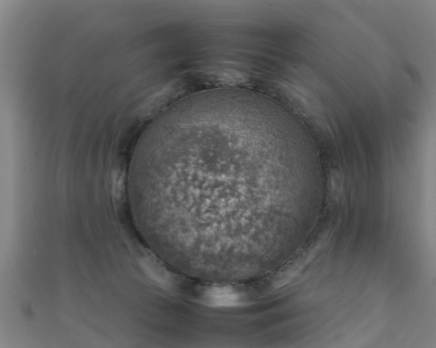 X0000111350177200907171150