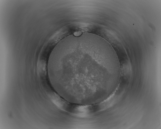 X0000111350178200907171150