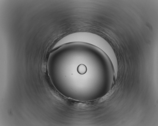 X0000111350180200907171150