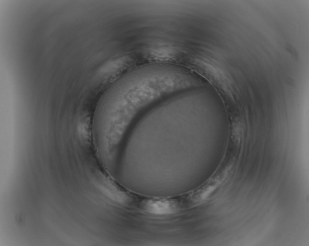 X0000111350181200907171150