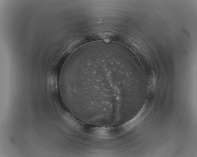 X0000111350182200907171150