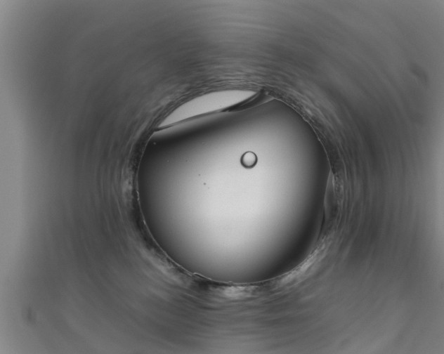 X0000111350184200907171150