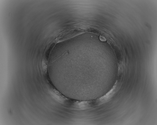 X0000111350186200907171150