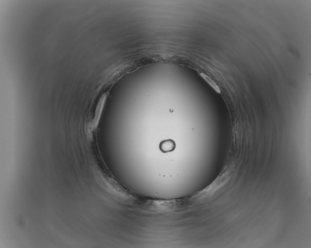 X0000111350188200907171150