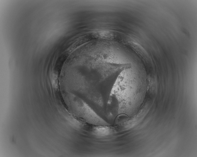 X0000111350189200907171150