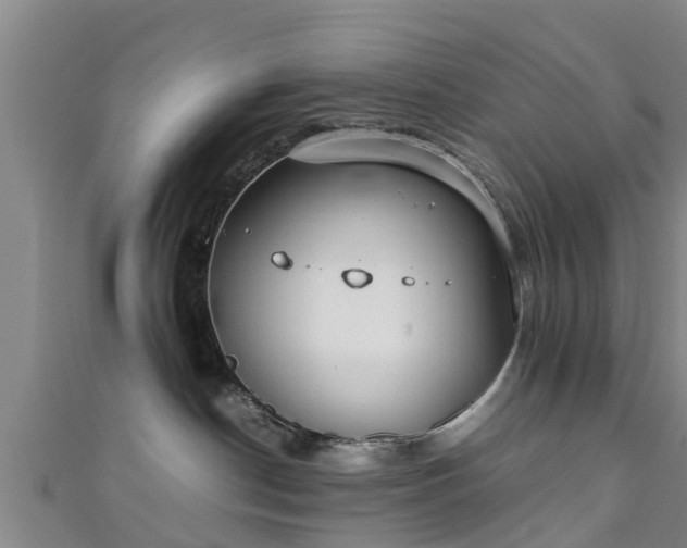 X0000111350190200907171150