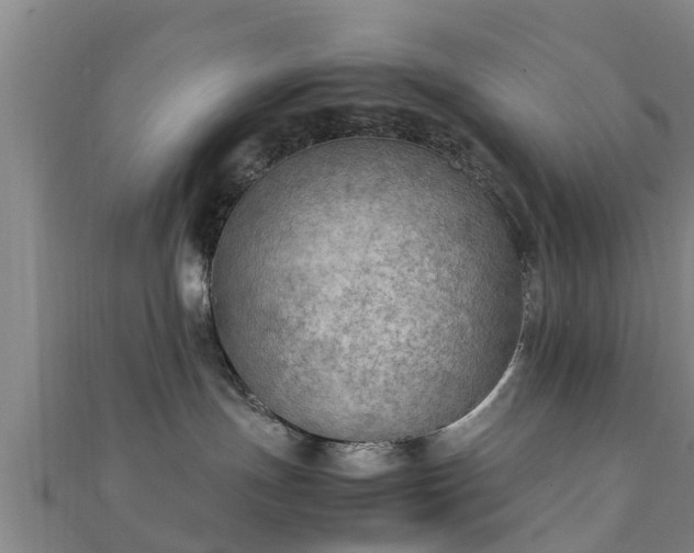 X0000111350191200907171150