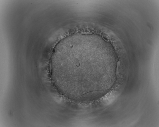 X0000111350192200907171150