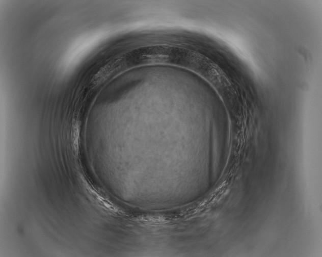 X0000111350194200907171150