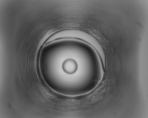 X0000111350195200907171150