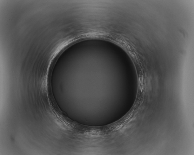 X0000111350196200907171150