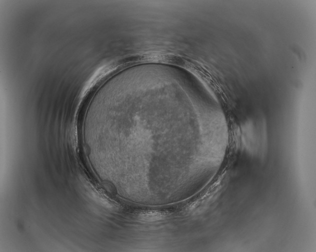 X0000111350198200907171150