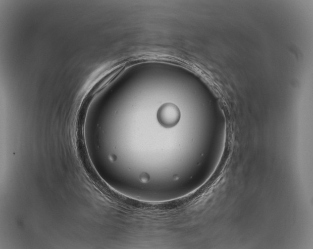 X0000111350199200907171150