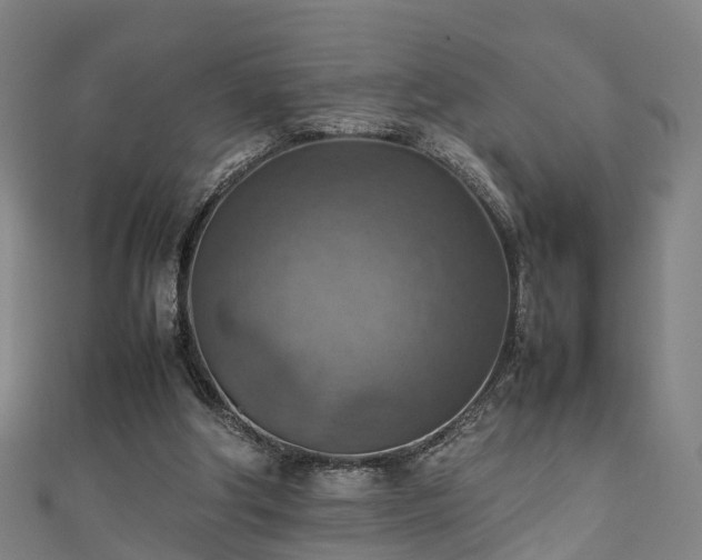 X0000111350202200907171149